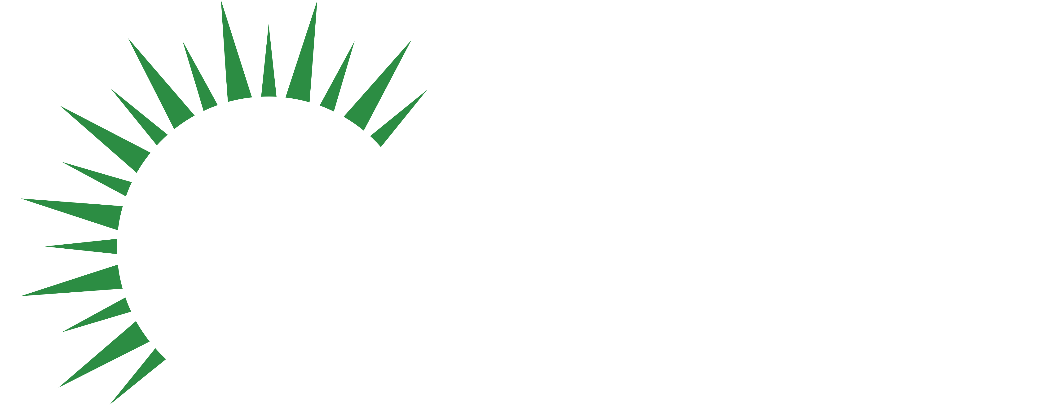 Essensa Naturale